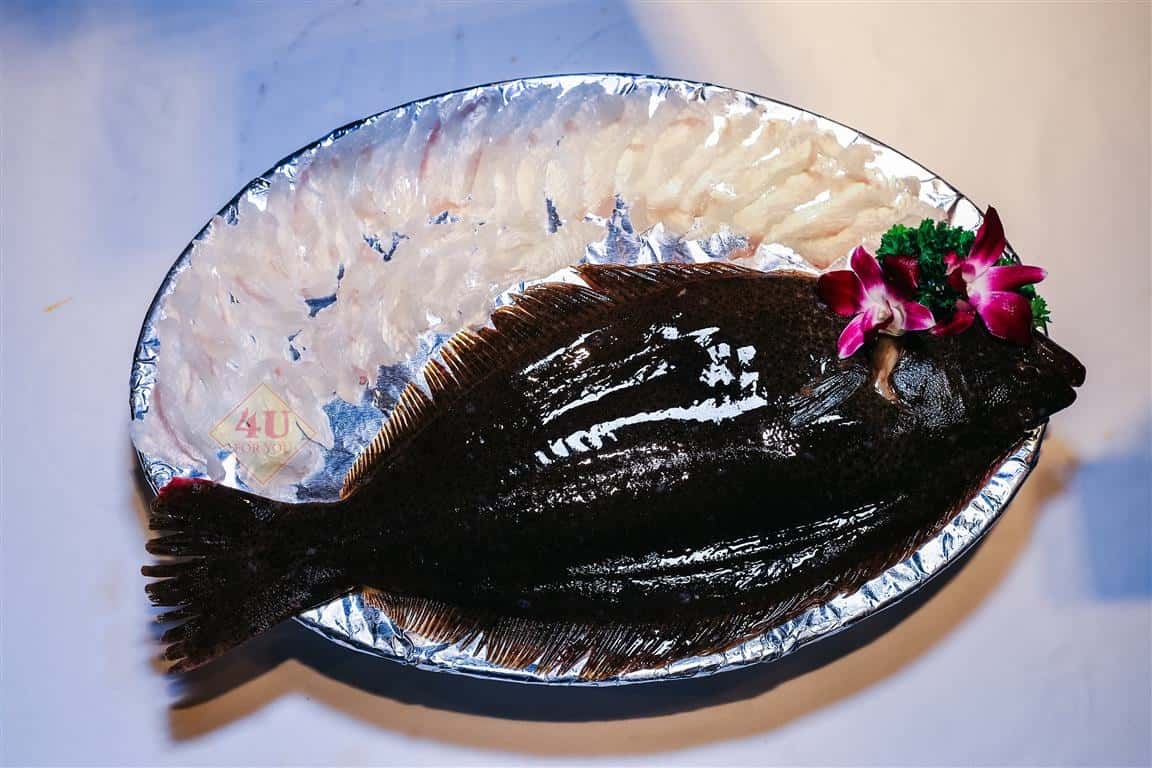 Cá Thờn Bơn Sashimi / Flounder fish Sashimi